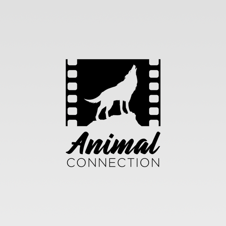 Animal Connection pour le cinéma conception du logo
